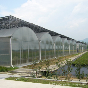Evaporative Cooling Pad Agricultural Invernadero